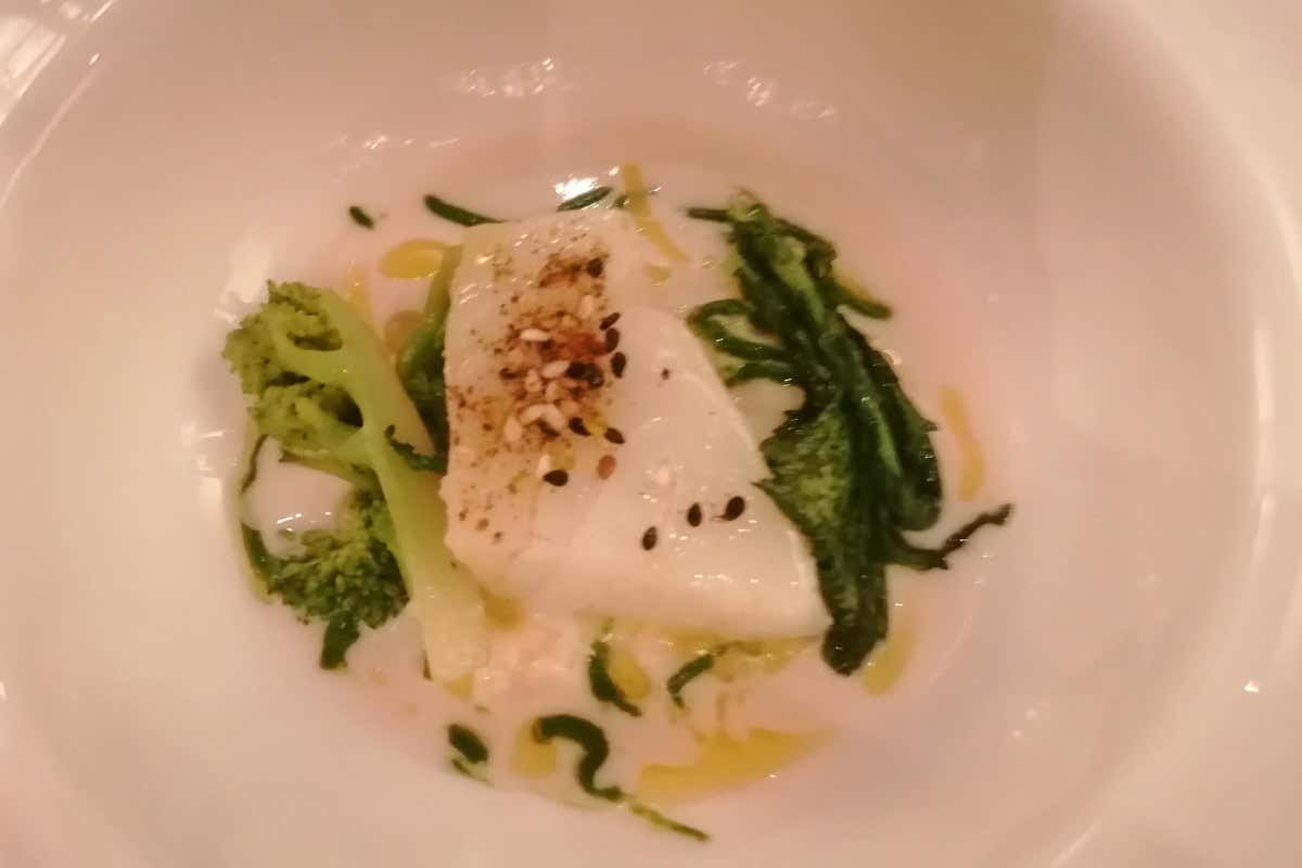 Biodiversità e giovani viticoltori: la Calabria rilancia la sua identità enologica