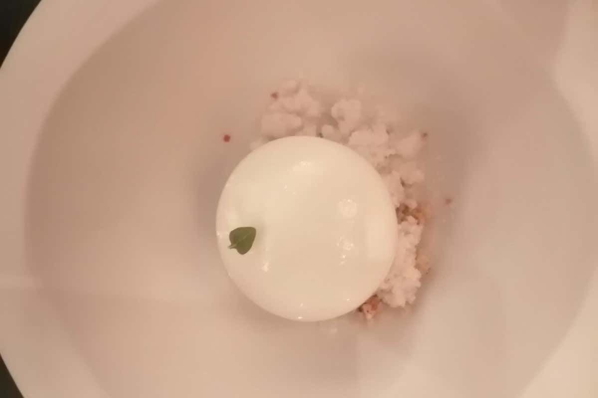 Biodiversità e giovani viticoltori: la Calabria rilancia la sua identità enologica