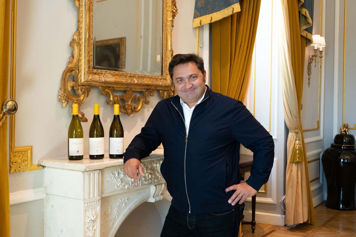 Nel Collio dei grandi bianchi debutta un rosso che punta su Cabernet Franc e Carmenère