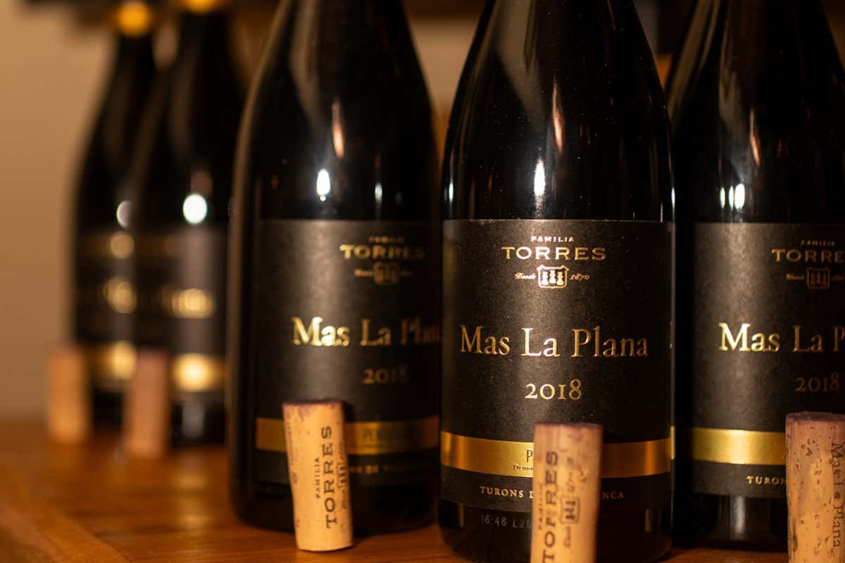 Torres-Boldrini, 45 anni di vino spagnolo in Italia celebrati da Casaloca
Torres-Boldrini, 45 anni di vino spagnolo in Italia celebrati da Casaloca