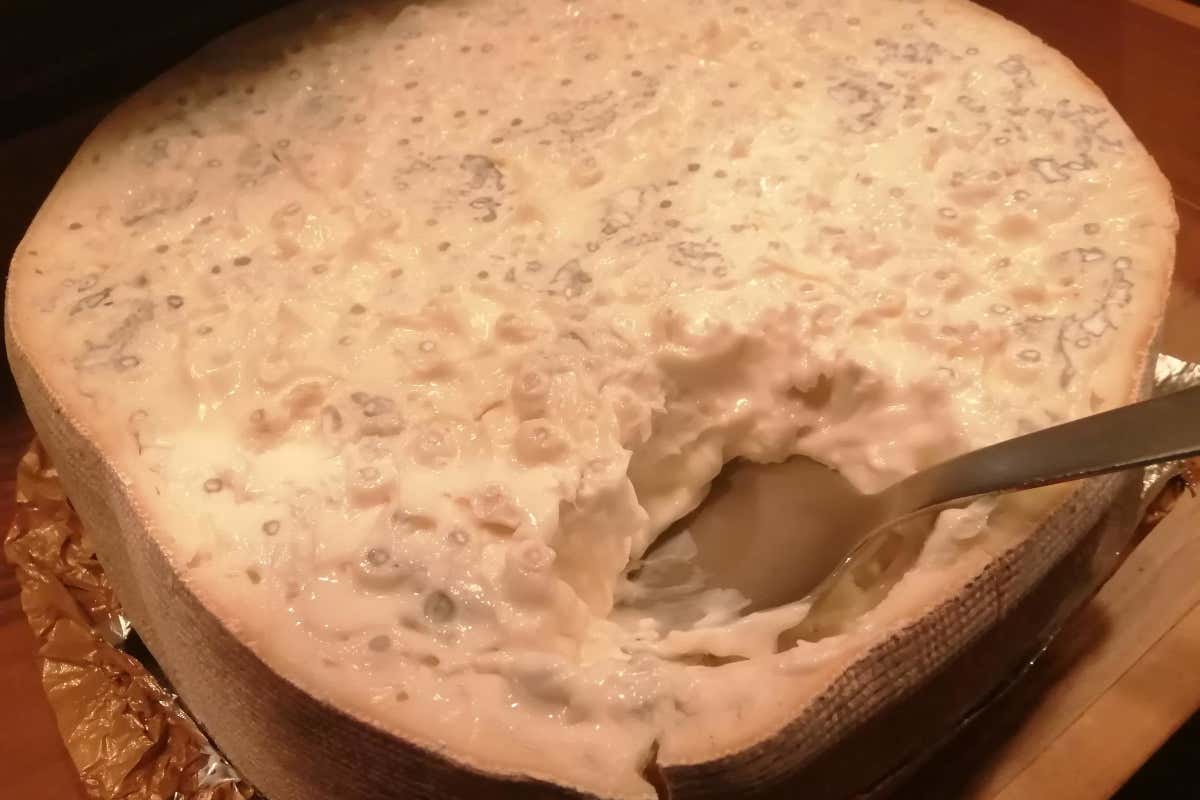 Enoturismo e tradizione: l’eccellenza del Roero si presenta a Roma