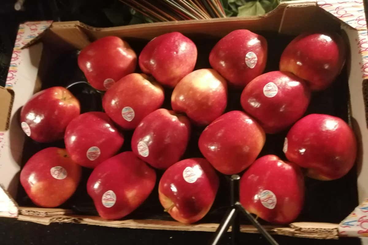 Enoturismo e tradizione: l’eccellenza del Roero si presenta a Roma