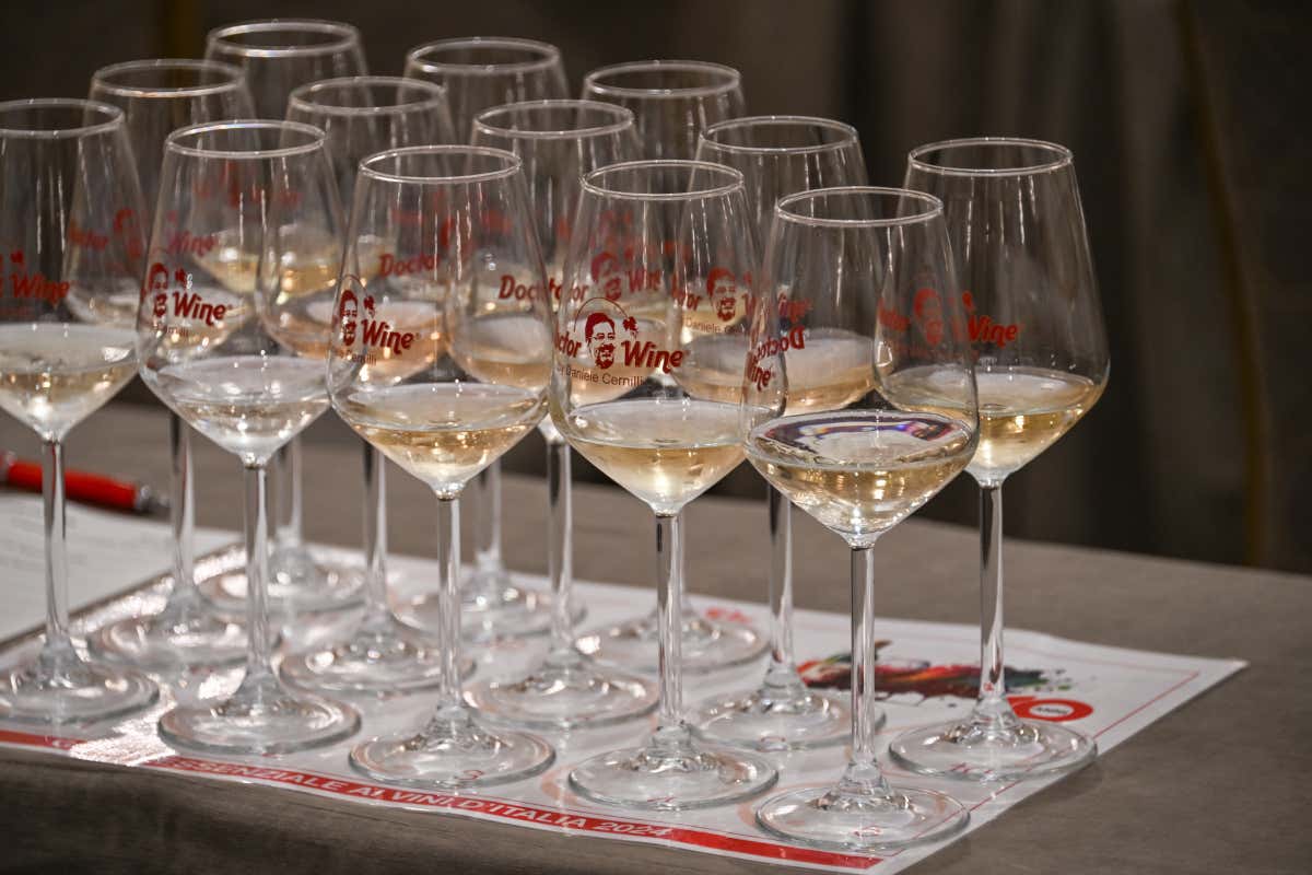 Triplo Faccino e vini rari: le eccellenze italiane poco conosciute della Guida Essenziale 2026 Triplo Faccino e vini rari: le eccellenze italiane poco conosciute della Guida Essenziale 2026