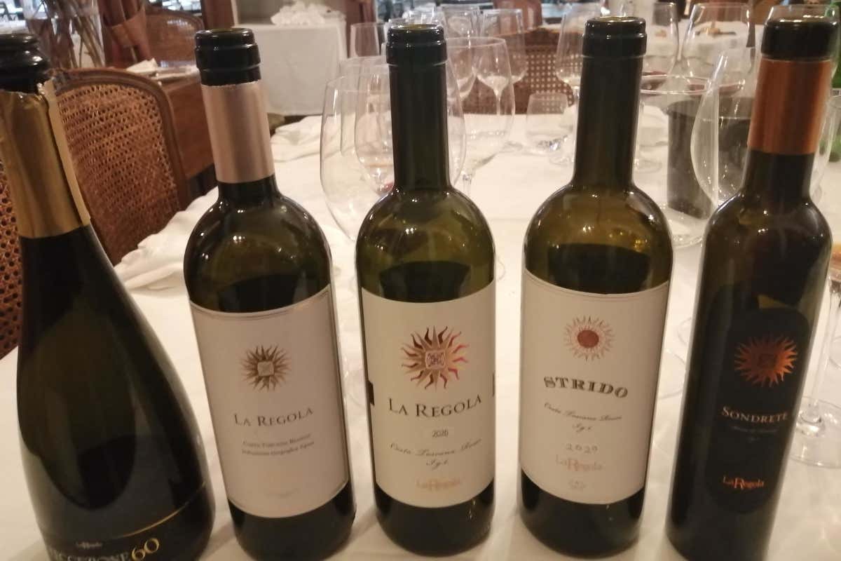 Vini, arte e cultura: la rivoluzione silenziosa de La Regola