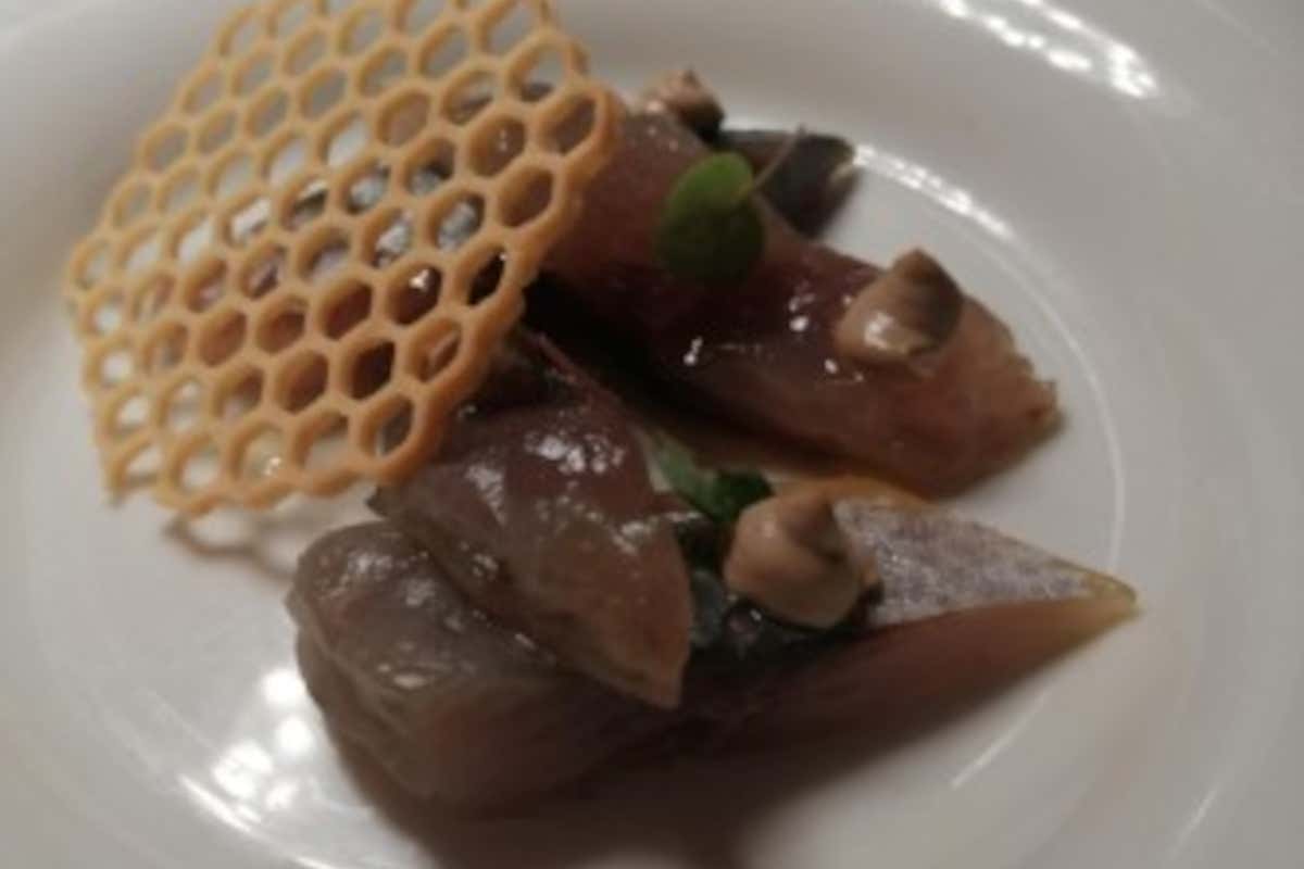 Il miele entra nell'alta cucina con gli studenti: premiati i giovani chef