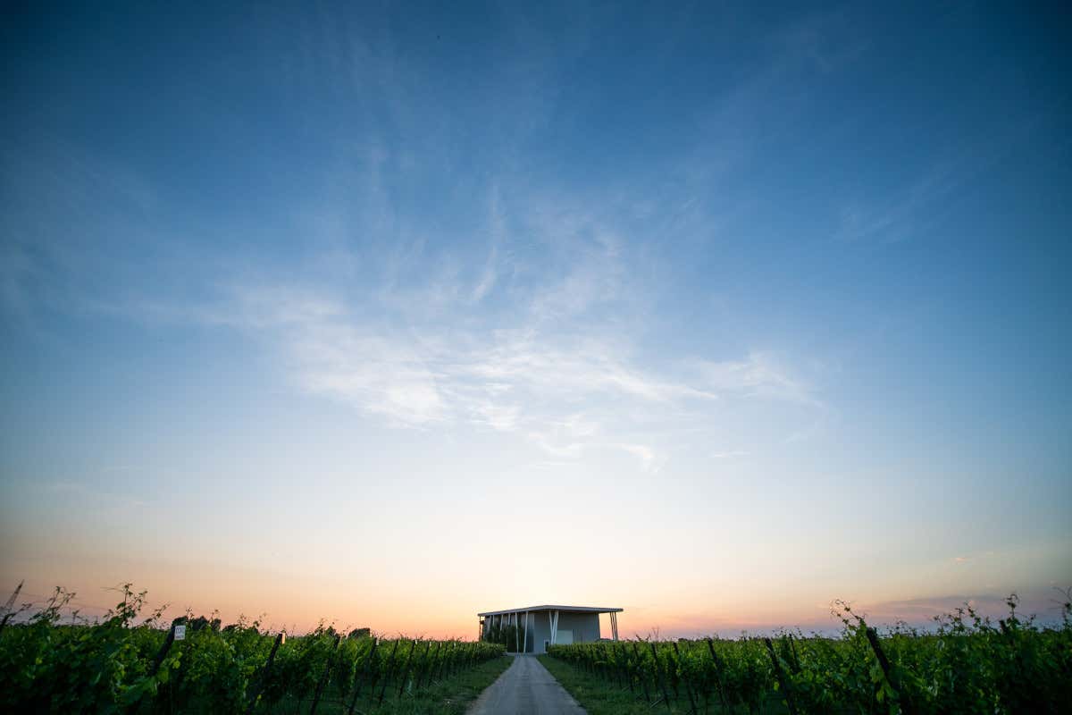 I tre fratelli del Lambrusco che raccontano il nuovo vino emiliano I tre fratelli del Lambrusco che raccontano il nuovo vino emiliano
