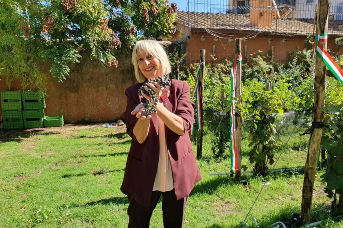Vendemmia urbana: a Roma nasce un museo-vigna che racconta l’Italia in un calice Vendemmia urbana: a Roma nasce un museo-vigna che racconta l’Italia in un calice