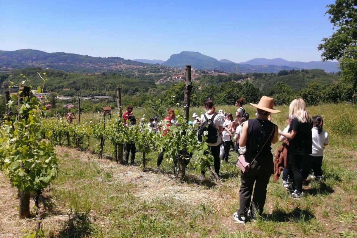 Cantine Aperte 2025: tutte le aziende da visitare in Campania, Lazio e Sardegna