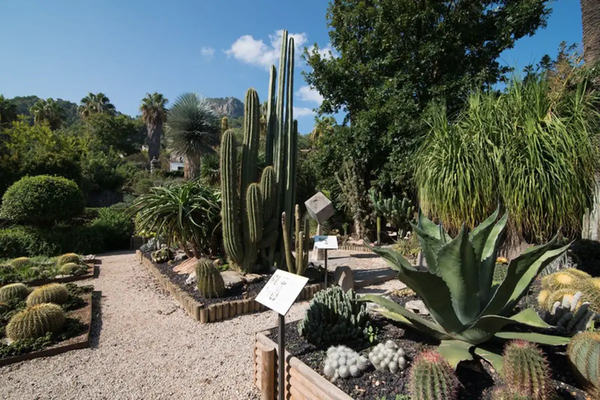 Maiorca Giardino botanico di S&oacute;ller Le Baleari non solo in estate: cosa fare tra sport, benessere e buona cucina