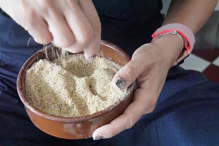 (Mais Antico Corvino Molino Vigevano Nuova farina per la ristorazione)