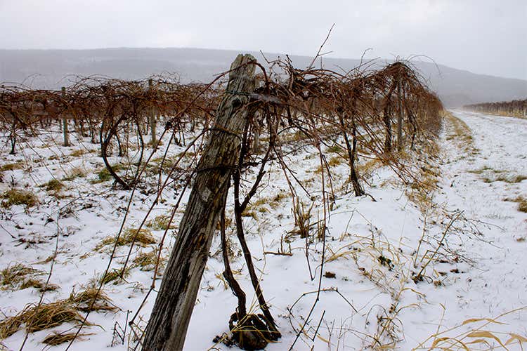 Maltempo, oltre un miliardo di danni Nelle zone terremotate aziende al collasso Maltempo, oltre un miliardo di danni Nelle zone terremotate aziende al collasso