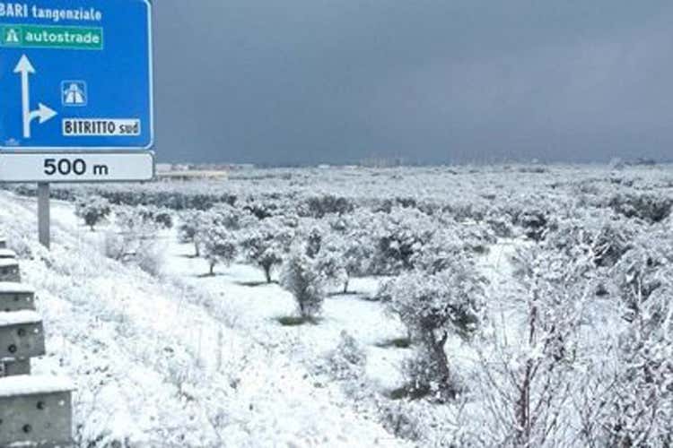 Maltempo prezzi gonfiati causa neve Da Codacons esposti a 104 Procure Maltempo prezzi gonfiati causa neve Da Codacons esposti a 104 Procure