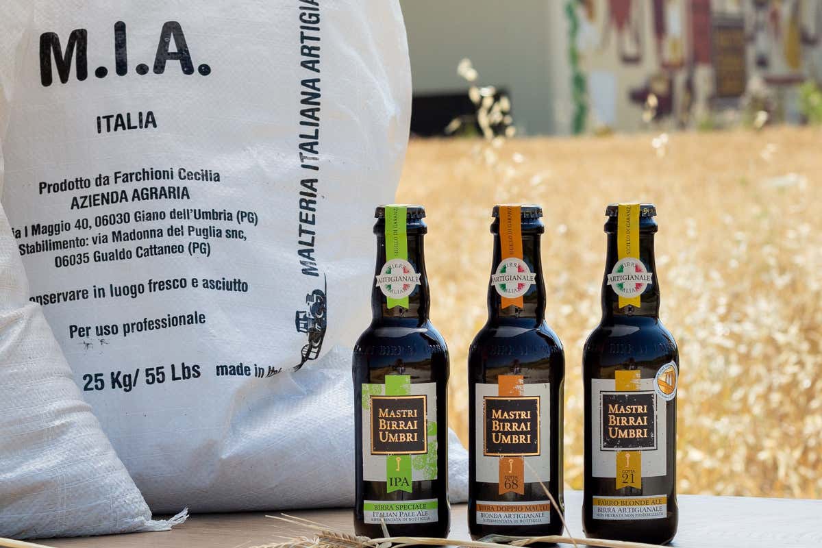 Il miglior malto “Pale” cresce in Umbria: medaglia d'oro alla Malt Cup