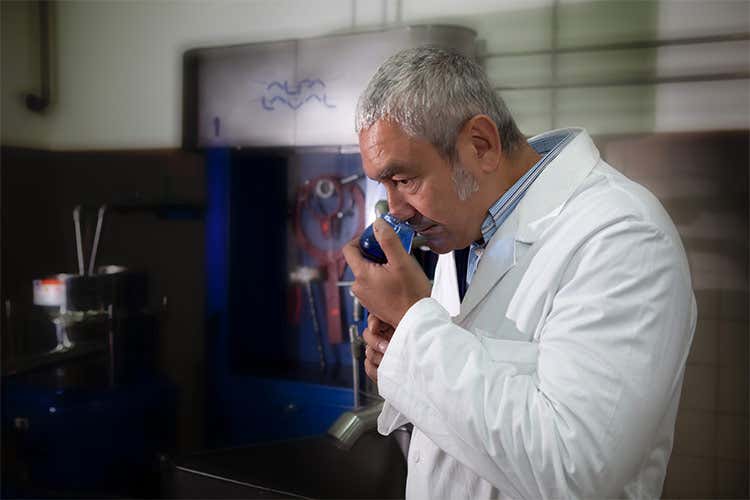 Olio, Sicilia seconda in Italia Ottima produzione, ma meno olive Olio, Sicilia seconda in Italia Ottima produzione, ma meno olive