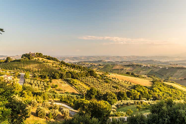 (Marche, Umbria, Lazio e Abruzzo fanno sistema per il rilancio del turismo)