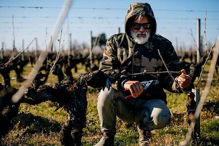 Marco Simonit - L'appello: Volete lavorare in vigna? Basta imparare, c'è posto per tutti