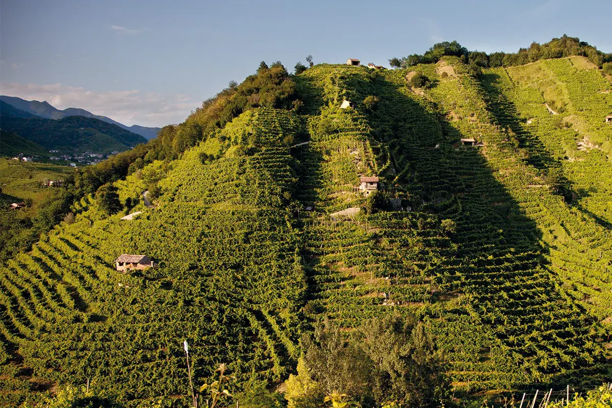 Marsuret, Prosecco d&rsquo;eccellenza &laquo;La nostra &egrave; una viticoltura eroica&raquo;