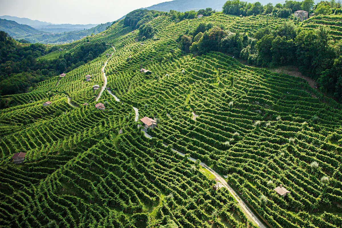Marsuret, Prosecco d&rsquo;eccellenza &laquo;La nostra &egrave; una viticoltura eroica&raquo;
