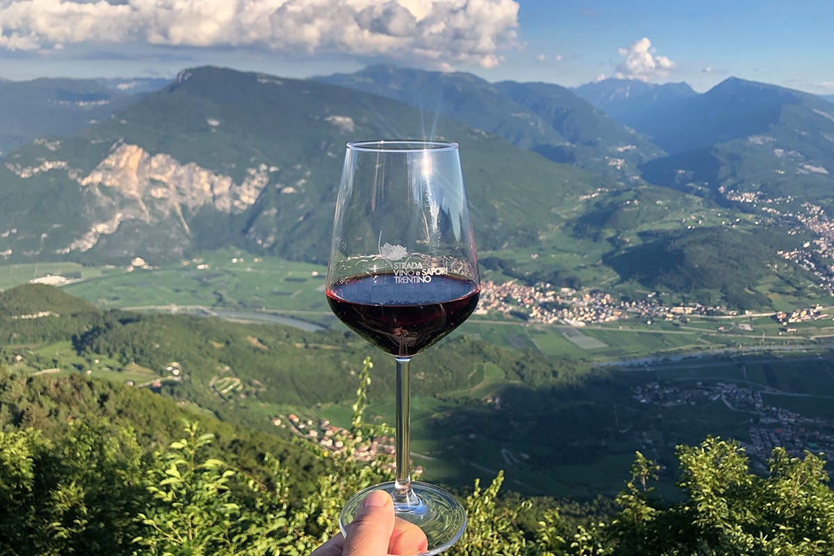 Marzemino, vino rappresentativo della produzione enologica trentina. Foto: L. Campolongo Fototeca Strada del Vino e dei Sapori del Trentino 