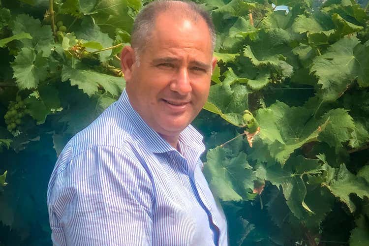 Massimo Ruggero - Sidd&ugrave;ra, vendemmia in anticipo Vermentino e Cannonau al top