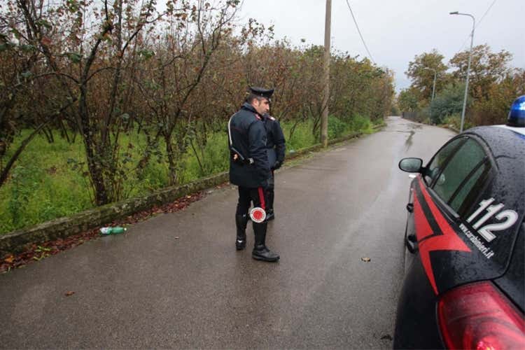 Mattatoio clandestino nel Siracusano Sequestrate 5 tonnellate di carne equina Mattatoio clandestino nel Siracusano Sequestrate 5 tonnellate di carne equina