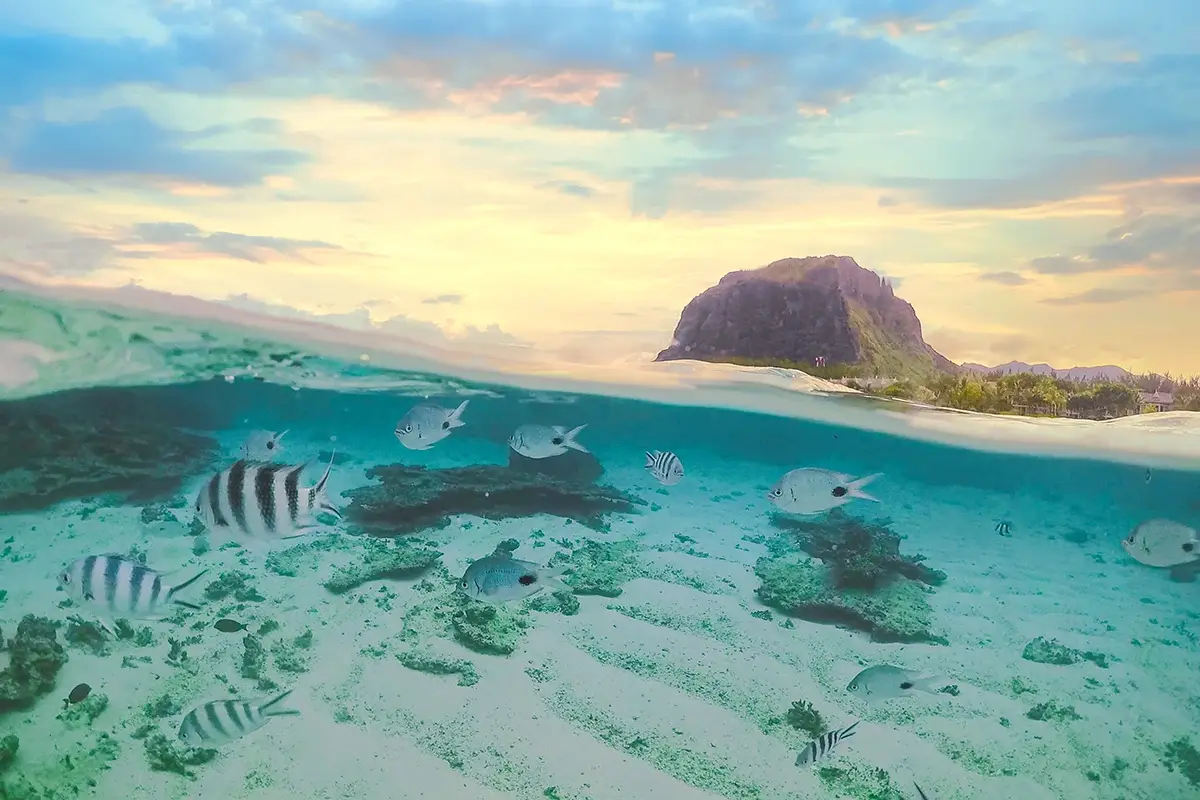 Come andare alle Mauritius con lo scambio casa