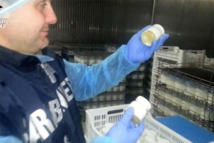 Maxi sequestro in Lombardia e Campania Sette tonnellate di omogeneizzati Maxi sequestro in Lombardia e Campania Sette tonnellate di omogeneizzati