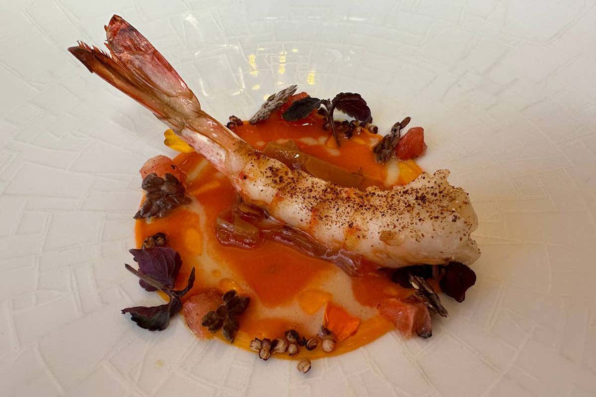 Enoteca La Torre: un gioiello culinario a Roma. Ecco come un ristorante bistellato ha successo