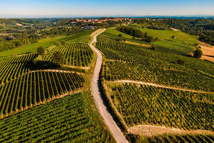 Mazzetti d&rsquo;Altavilla punta sulle grappe di territorio