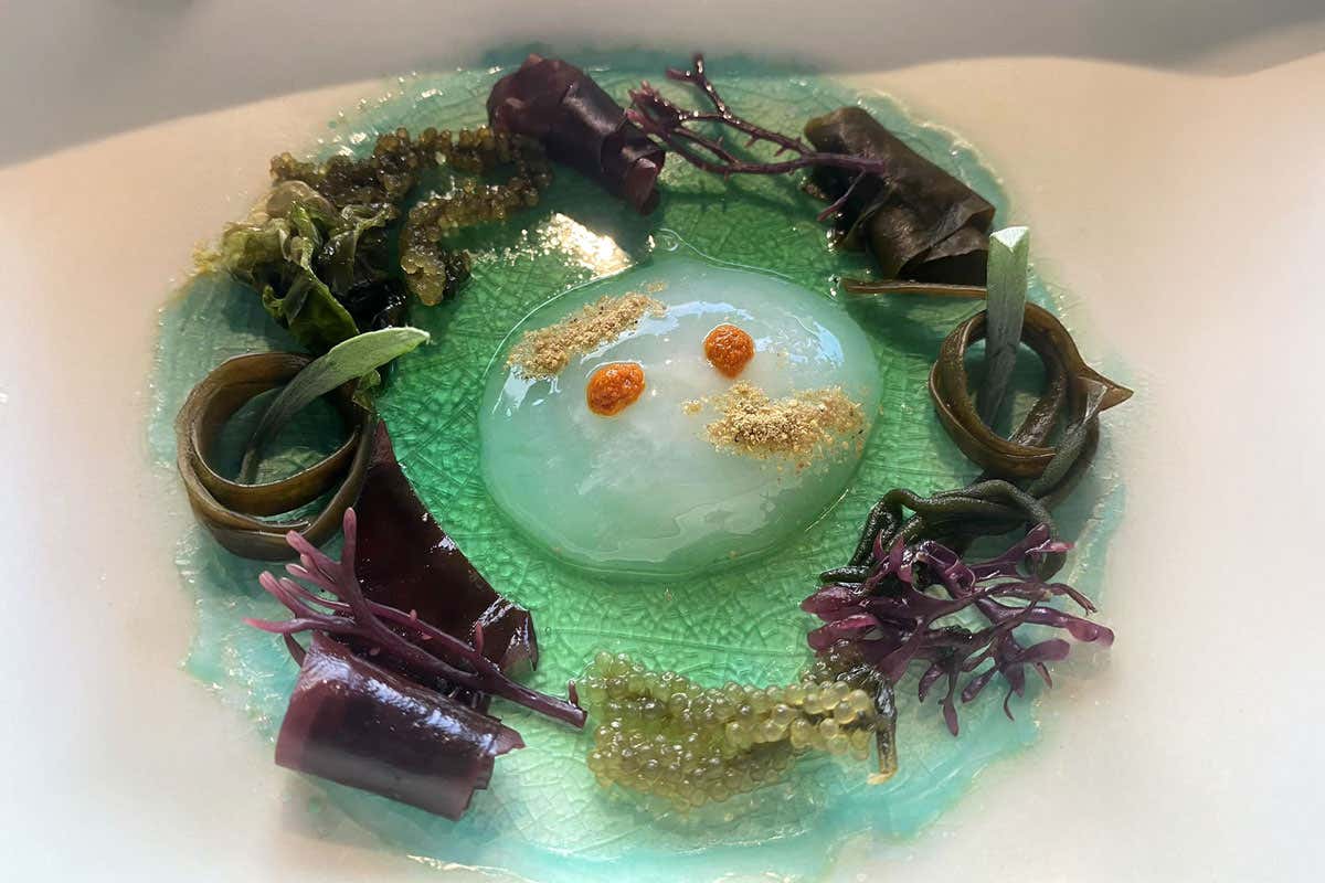 Sensorium, Bocchia, Giacomello: quando la scienza commuove a tavola Sensorium, Bocchia, Giacomello: quando la scienza commuove a tavola