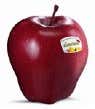 Red Delicious