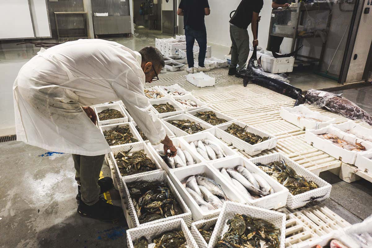 Qualità e sicurezza, le parole d'ordine del Mercato ittico di Milano