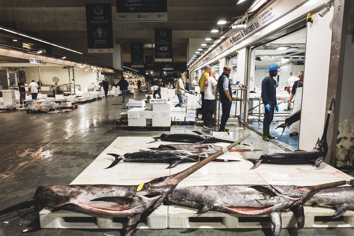 Qualità e sicurezza, le parole d'ordine del Mercato ittico di Milano