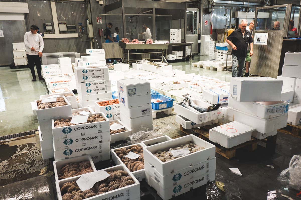 Qualità e sicurezza, le parole d'ordine del Mercato ittico di Milano