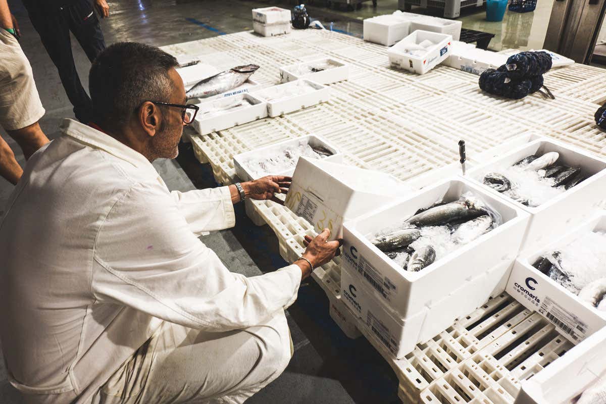 Qualità e sicurezza, le parole d'ordine del Mercato ittico di Milano