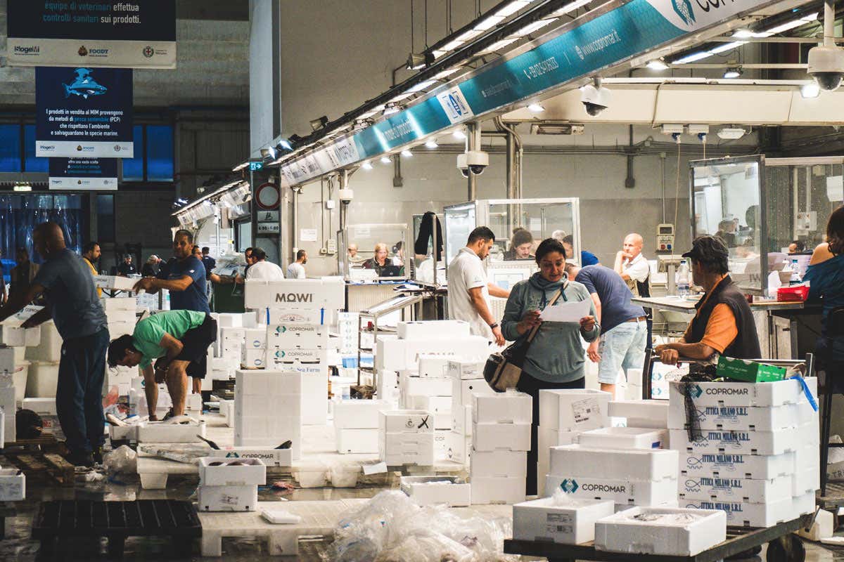 Qualità e sicurezza, le parole d'ordine del Mercato ittico di Milano