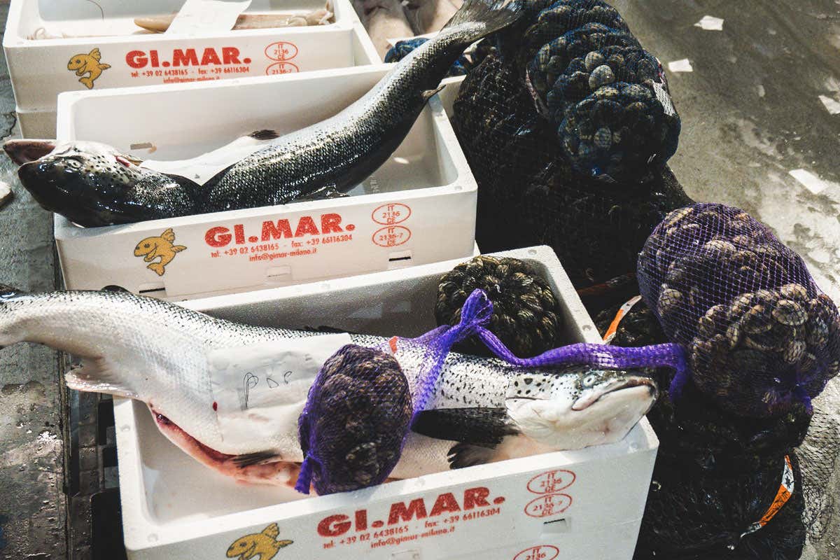 Qualità e sicurezza, le parole d'ordine del Mercato ittico di Milano