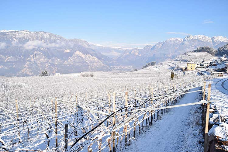 (Il Metodo classico Trentodoc torna protagonista sulle Dolomiti)