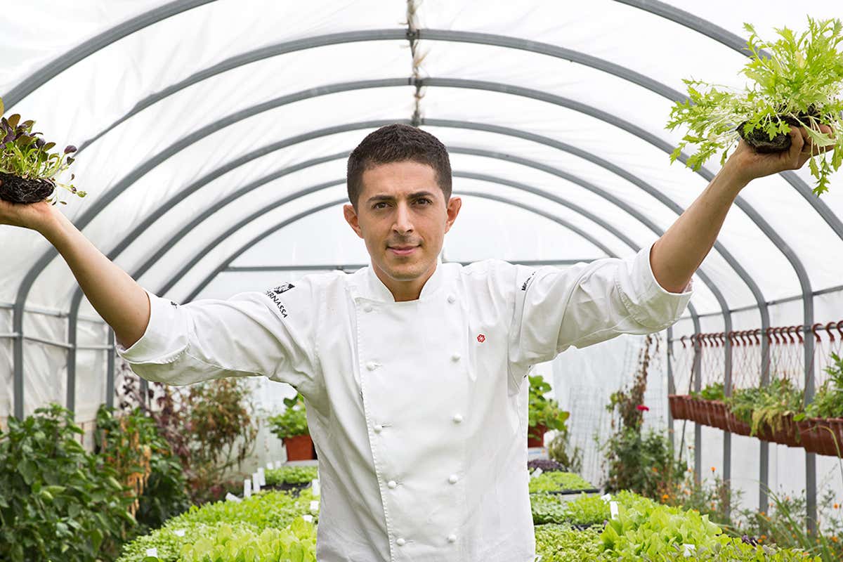 Michelangelo Mammoliti Cosa “cresce” al ristorante? I migliori locali italiani con l’orto