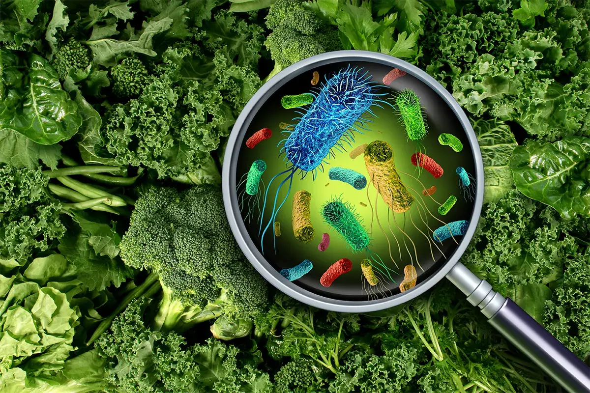 500 milioni di euro per la ricerca sui microbiomi