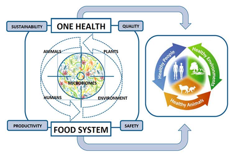 Tutto è interconnesso