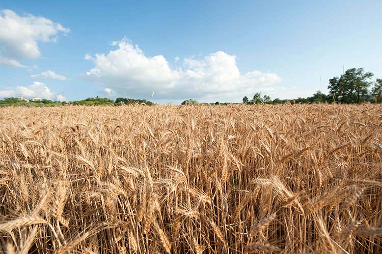 Molini di Voghera, farine local di qualit&agrave;  11% di crescita nel primo trimestre 2017