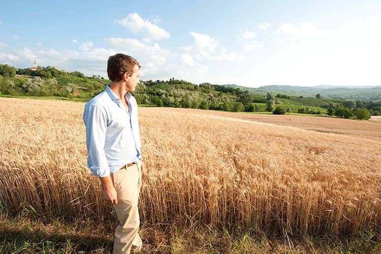 Molini di Voghera, farine local di qualit&agrave;  11% di crescita nel primo trimestre 2017