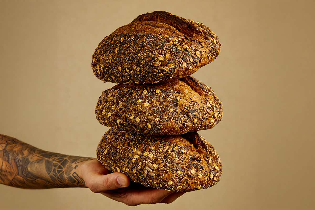 Dalla Siria alle Marche: il grano che diventa farina e birra grazie al progetto Mazì Dalla Siria alle Marche: il grano che diventa farina e birra grazie al progetto Mazì