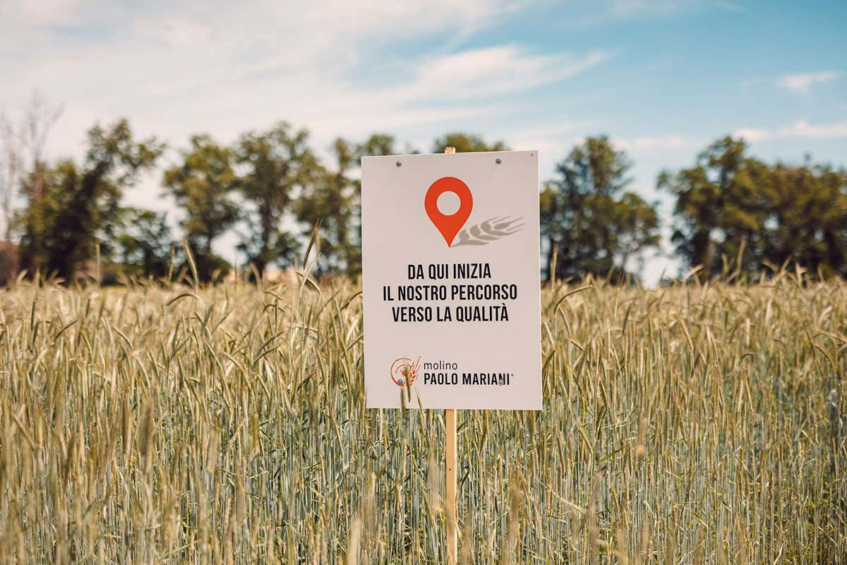 Donne e panificazione: responsabilità, identità e diritti nel progetto “Storie Barbare” Donne e panificazione: responsabilità, identità e diritti nel progetto “Storie Barbare”