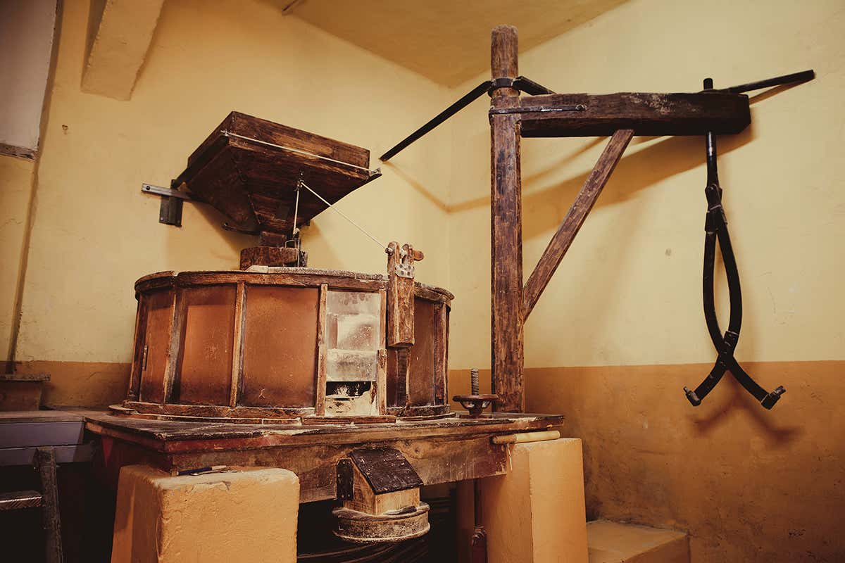 Nell'arciplago sono in funzione 34 mulini che producono Gofo tutto l'anno Gofio la farina millenaria delle Isole Canarie