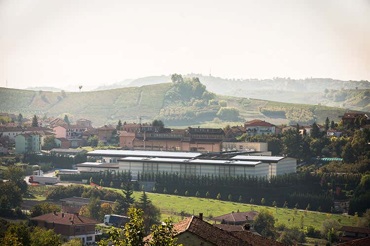 Mondodelvino cresce nel 2020 Fatturato da 120,5 milioni: 8,5% Mondodelvino cresce nel 2020 Fatturato da 120,5 milioni: 8,5%