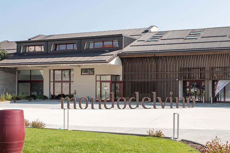 Mondodelvino cresce nel 2020 Fatturato da 120,5 milioni: 8,5% Mondodelvino cresce nel 2020 Fatturato da 120,5 milioni: 8,5%