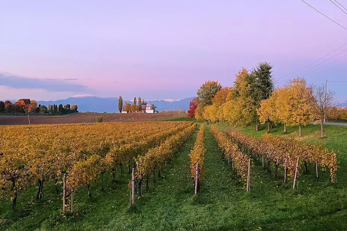 Passeggiata enogastronomica Alla scoperta del Montenetto Torna la passeggiata enogastronomica alla scoperta del Montenetto