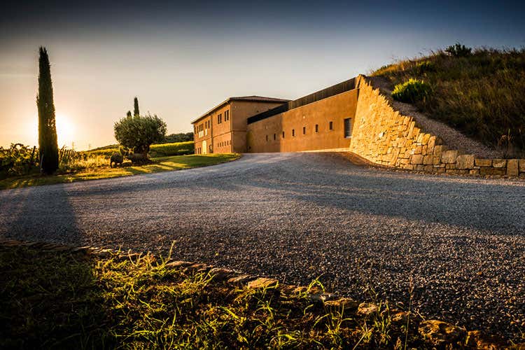 Monteverro, Terra di Monteverro e Tinata respirano le brezze della Maremma Monteverro, Terra di Monteverro e Tinata respirano le brezze della Maremma